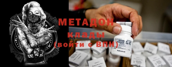 шишки Аркадак