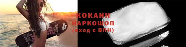 шишки Аркадак