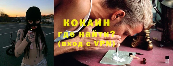 шишки Аркадак